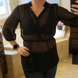 Sheer Cinch waist/sleeve Blouse